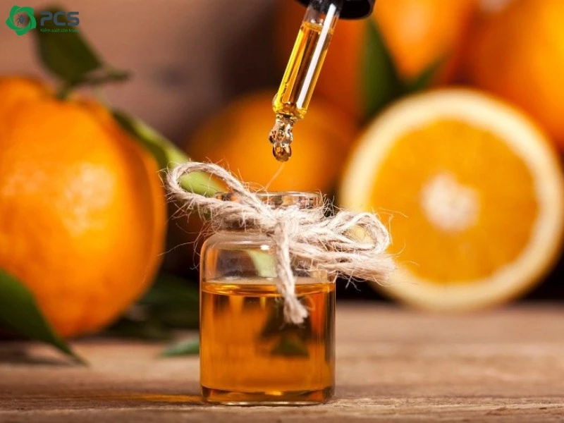 Cách diệt mối tại nhà 